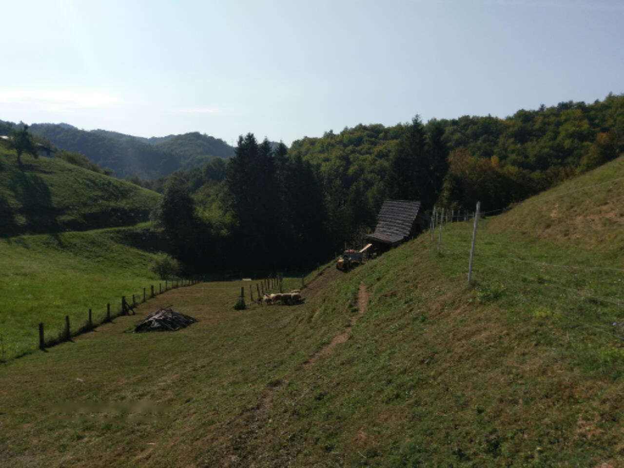 Azienda agricola a Ptuj, Slovenia, 28 000 m2 - foto 8