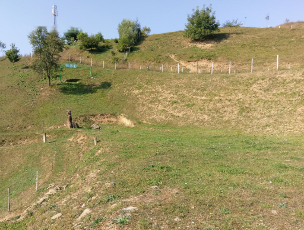 Azienda agricola a Ptuj, Slovenia, 28 000 m2 - foto 10