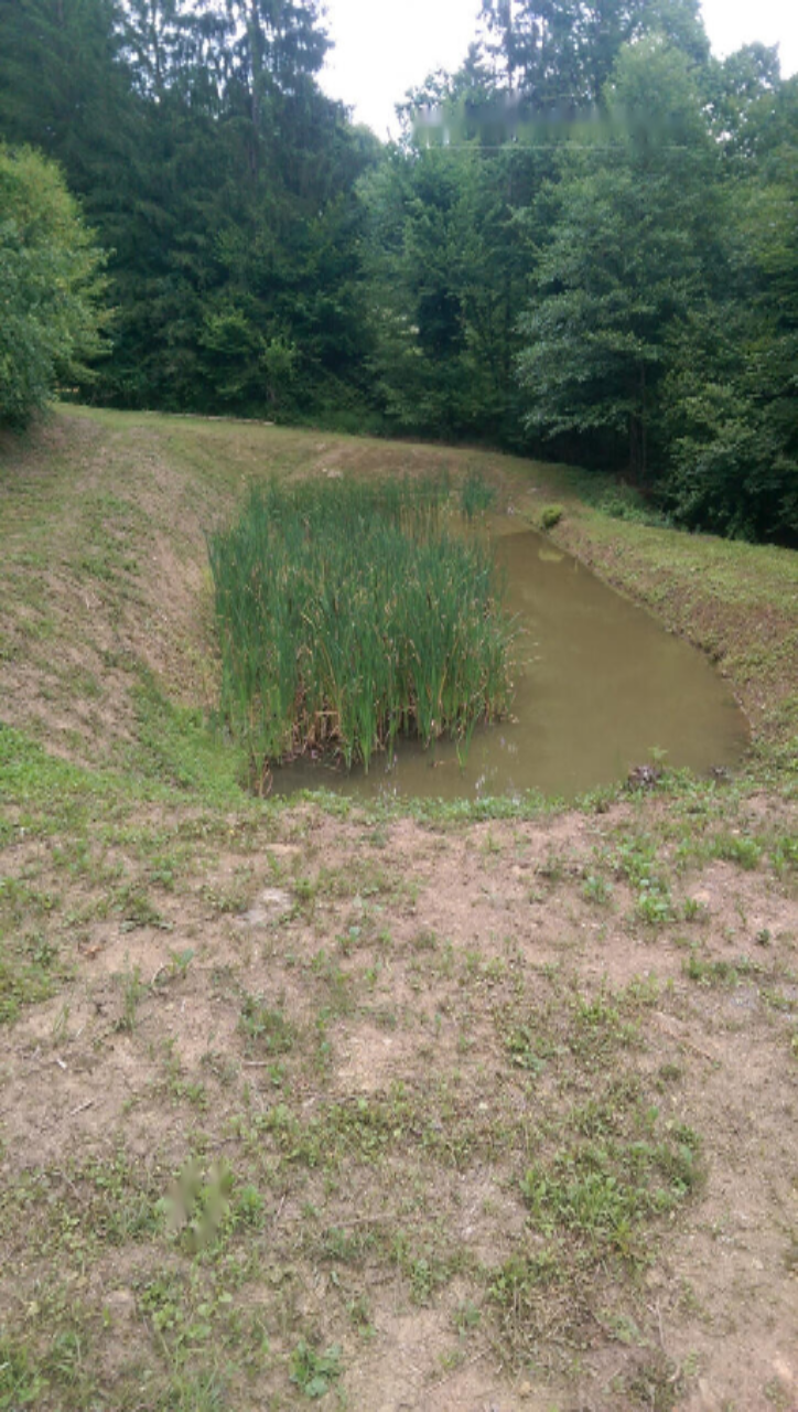 Azienda agricola a Ptuj, Slovenia, 28 000 m2 - foto 12