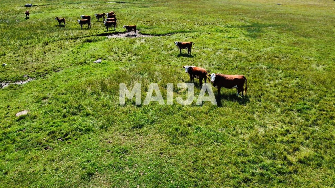 Terreno Pöide-Keskvere küla, Estonia, 41 812 m² - imagen 8