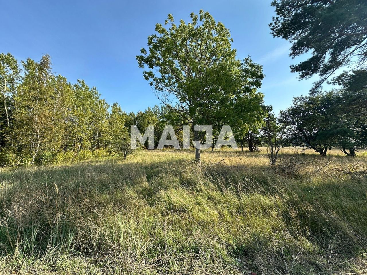 Terreno Sääre küla, Estonia, 124 406 m2 - foto 9