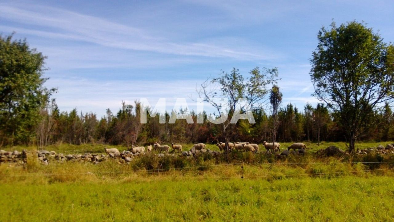 Terreno Pöide-Keskvere küla, Estonia, 41 812 m² - imagen 10