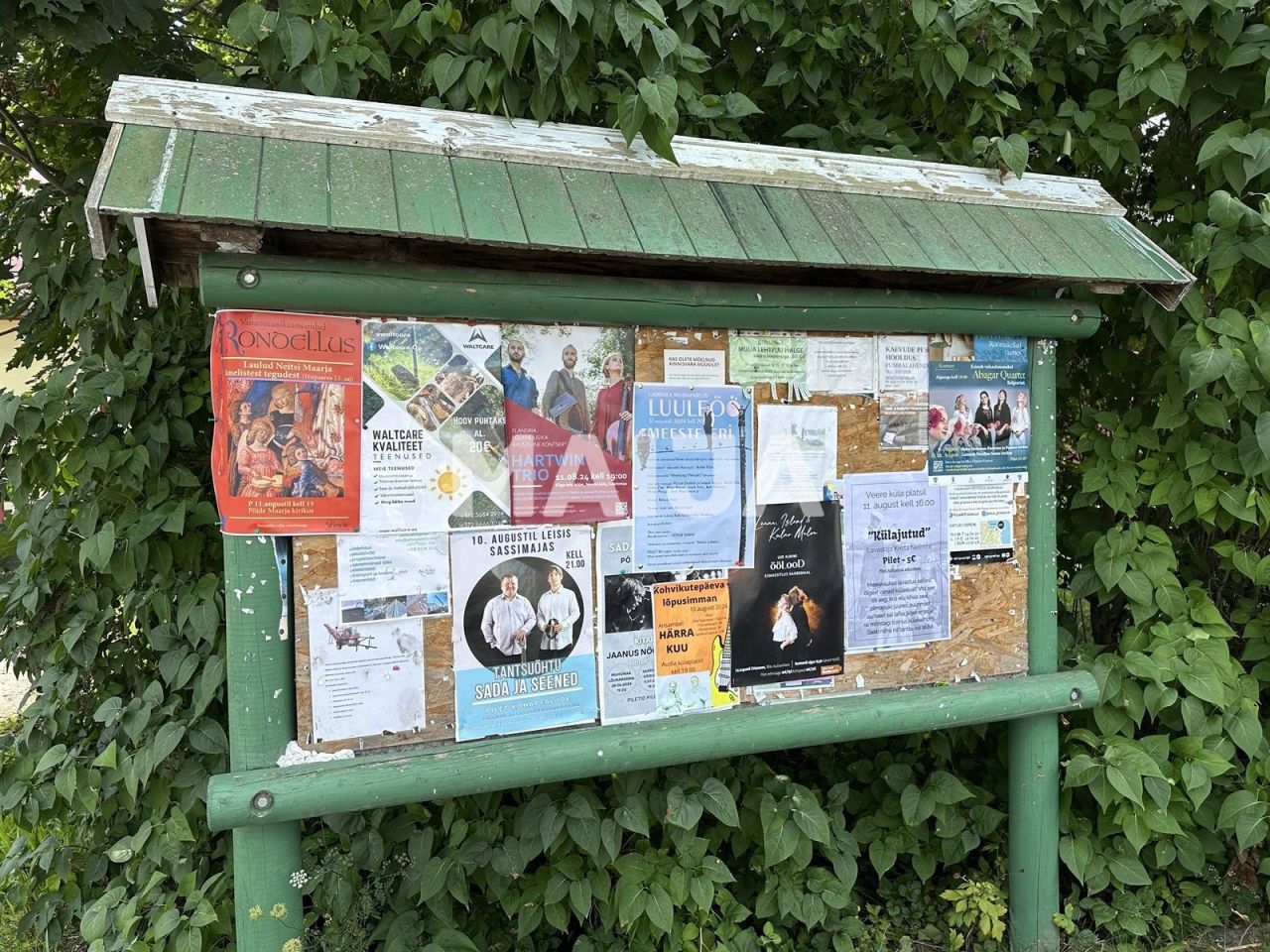 Terreno Pöide-Keskvere küla, Estonia, 41 812 m² - imagen 13