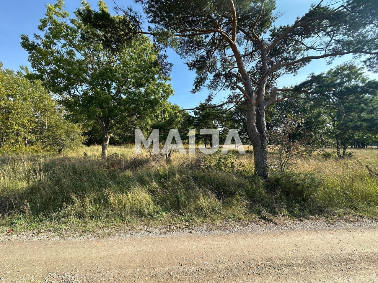 Terreno Sääre küla, Estonia, 124 406 m2 - foto 13