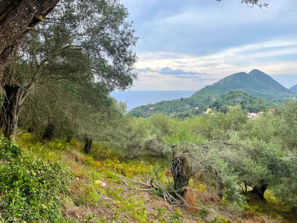 Land in Corfu, Greece, 1 202 m² - picture 1