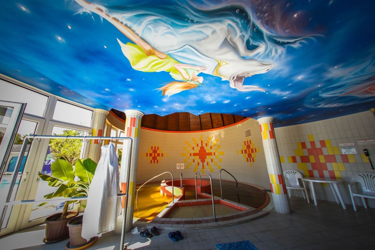 Hotel, albergo a Hajduszoboszlo, Ungheria, 17 000 m² - foto 13