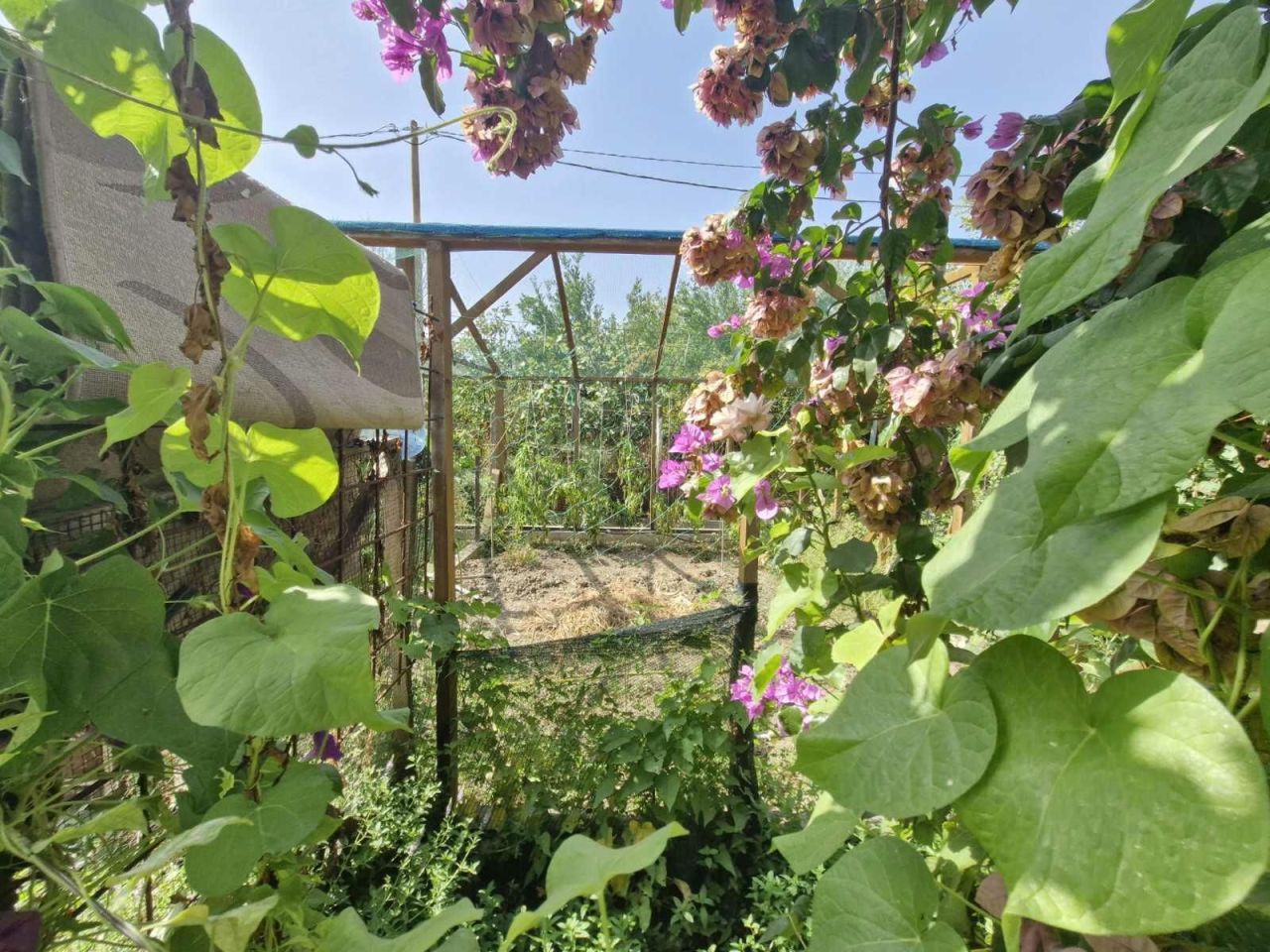 Terreno a Bar, Montenegro, 2 787 m2 - foto 3