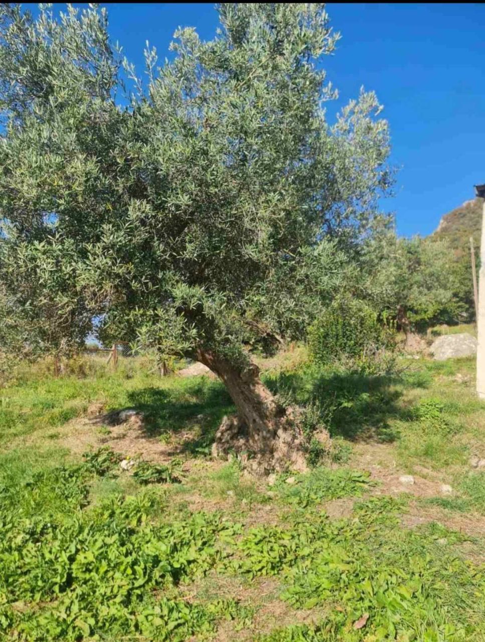 Terrain Herceg Novi, Monténégro, 1 058 m² - image 5