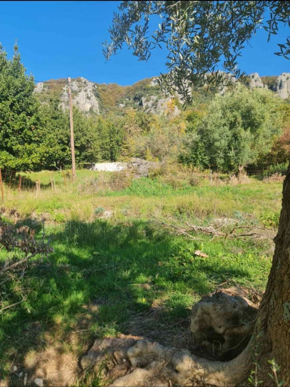 Terrain Herceg Novi, Monténégro, 1 058 m² - image 6