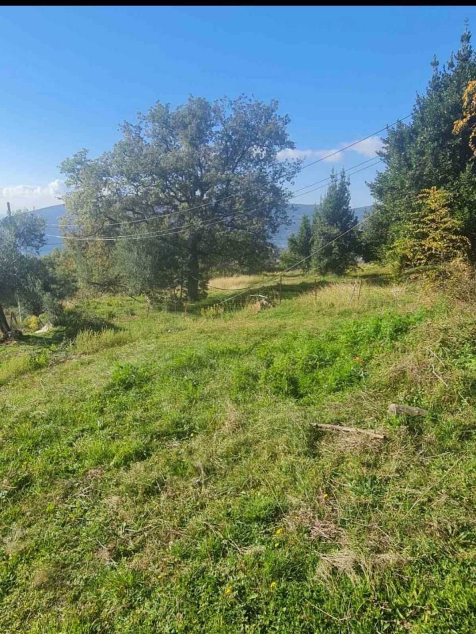 Terrain Herceg Novi, Monténégro, 1 058 m² - image 7
