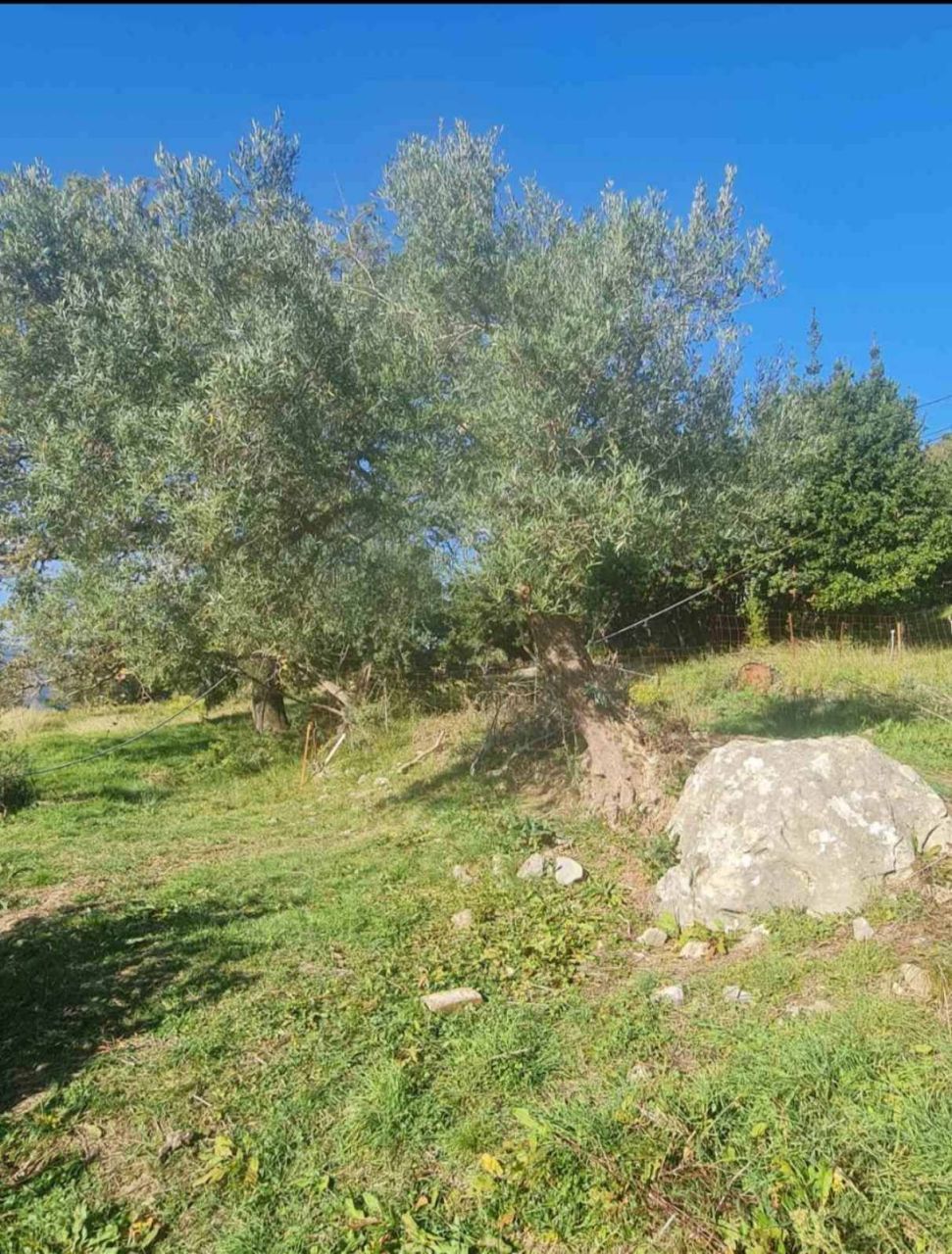 Terrain Herceg Novi, Monténégro, 1 058 m² - image 8