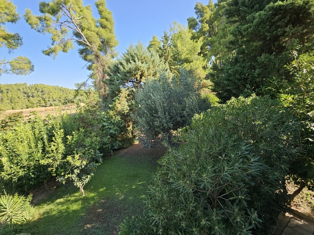 Maisonnette à Kassandra, Grèce, 105 m² - image 4