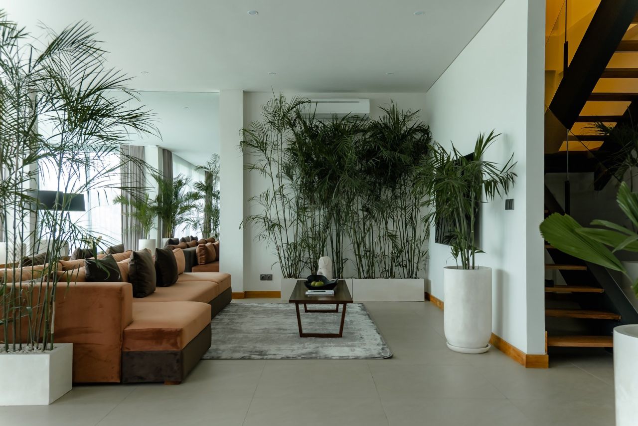 Villa à Canggu, Indonésie, 343 m² - image 7