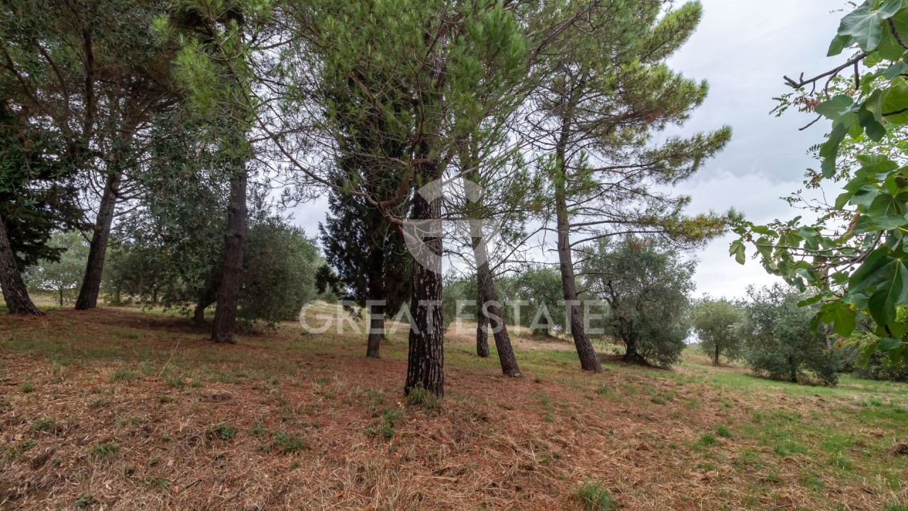 House in Orvieto, Italy, 259.85 m² - picture 9