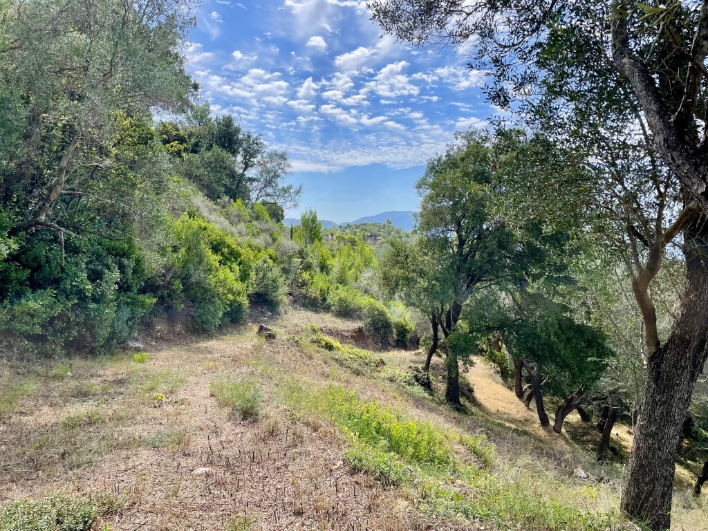 Grundstück in Korfu, Griechenland, 8 000 m² - Foto 14