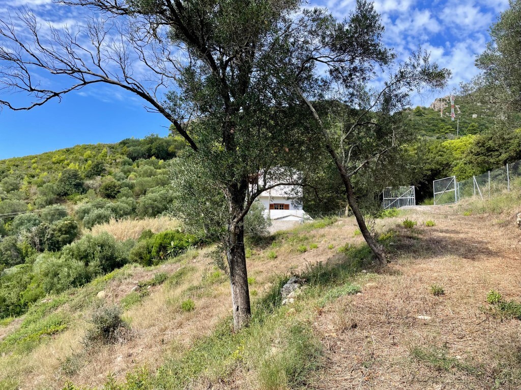 Grundstück in Korfu, Griechenland, 8 000 m² - Foto 15