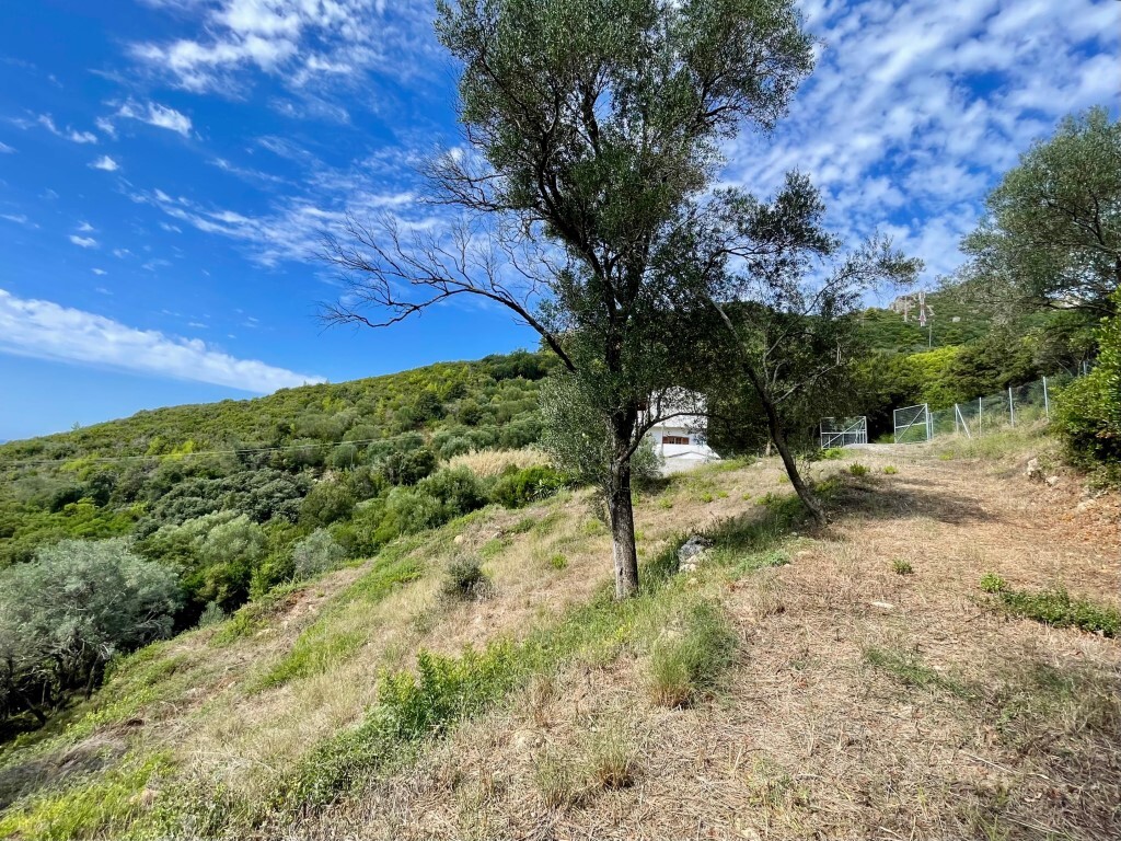 Grundstück in Korfu, Griechenland, 8 000 m² - Foto 16