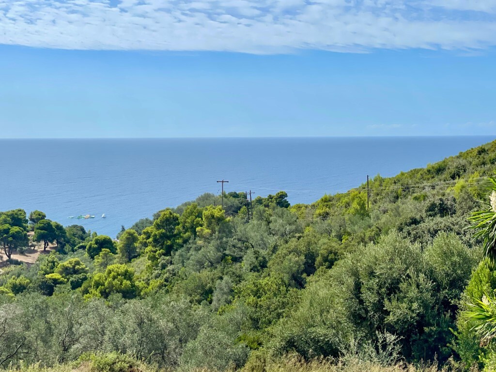 Grundstück in Korfu, Griechenland, 8 000 m² - Foto 17