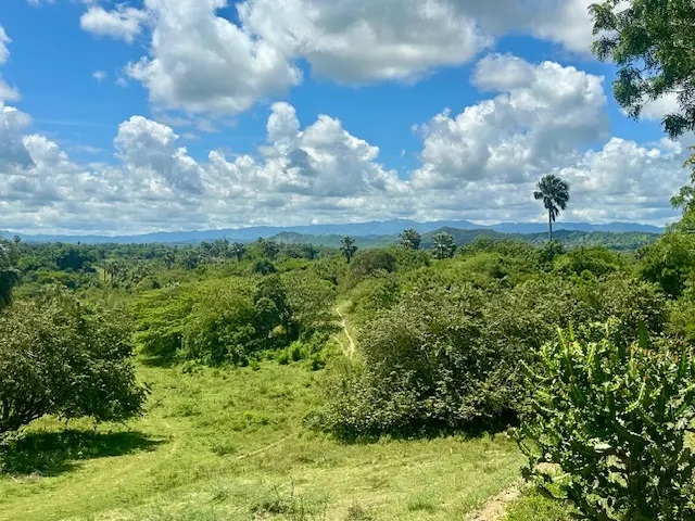 Land in Puerto Plata, Dominican Republic, 15 000 m² - picture 3