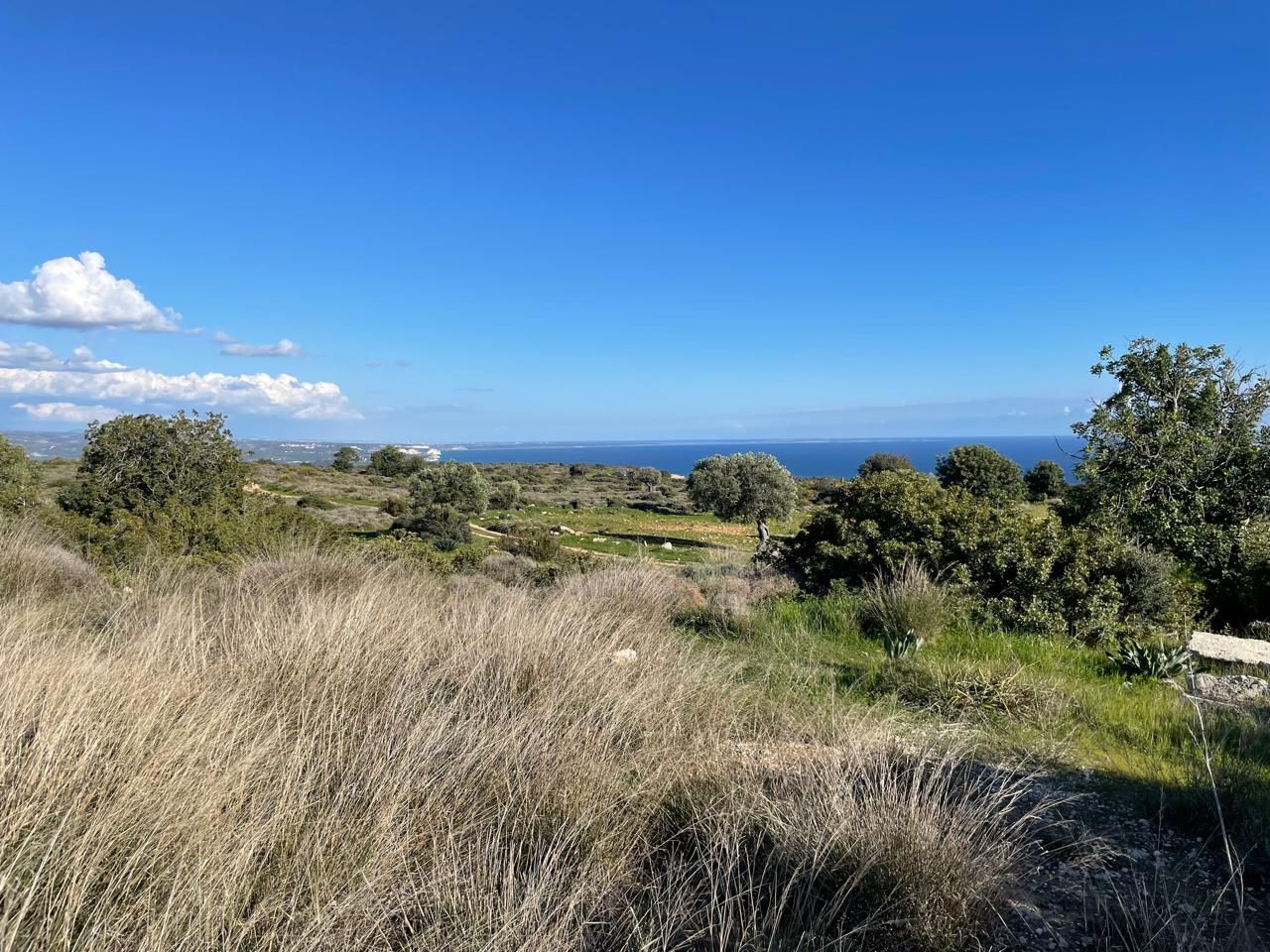 Grundstück in Limassol, Zypern, 11 372 m² - Foto 5