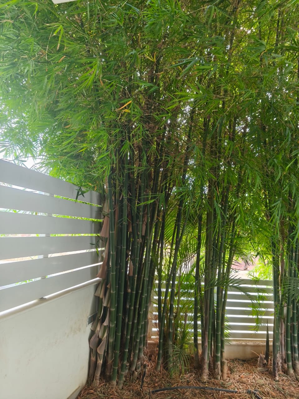 Casa a Limassol, Cipro - foto 8