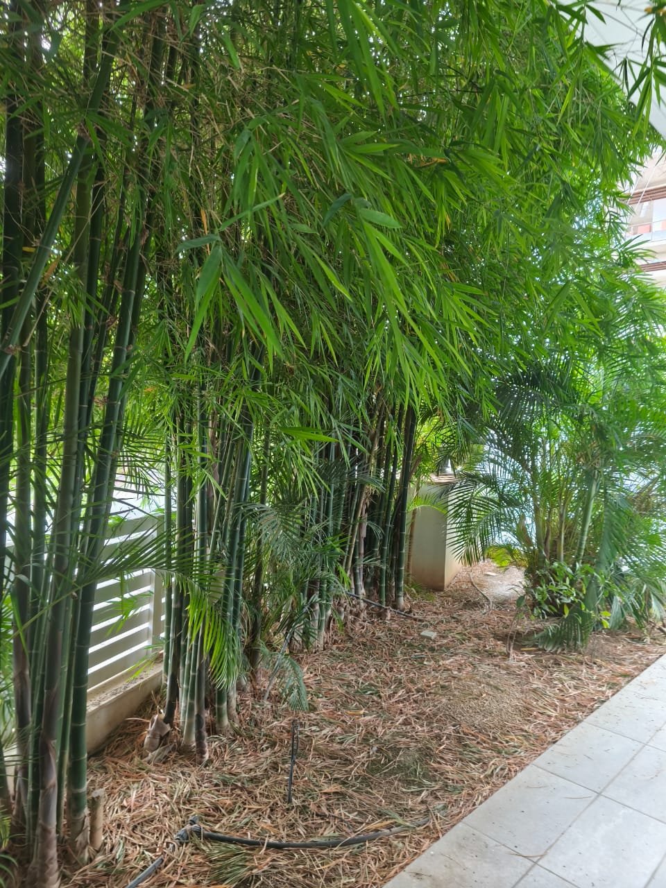 Casa a Limassol, Cipro - foto 9