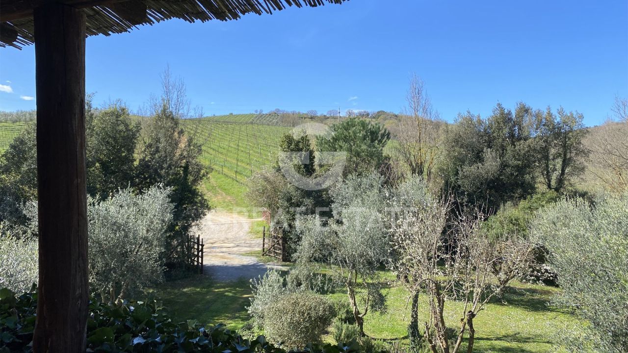 Haus Magliano in Toscana, Italien, 207.7 m² - Foto 9