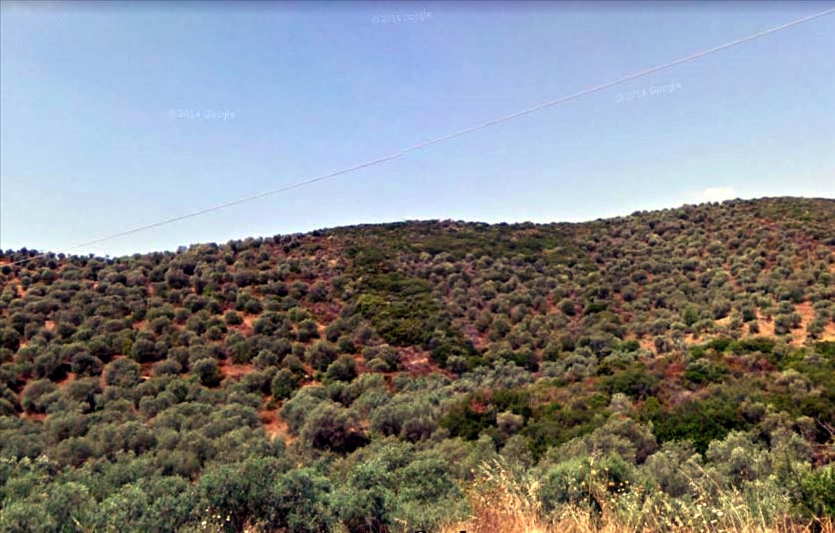 Land in Chalkidiki, Greece, 4 765 m² - picture 1