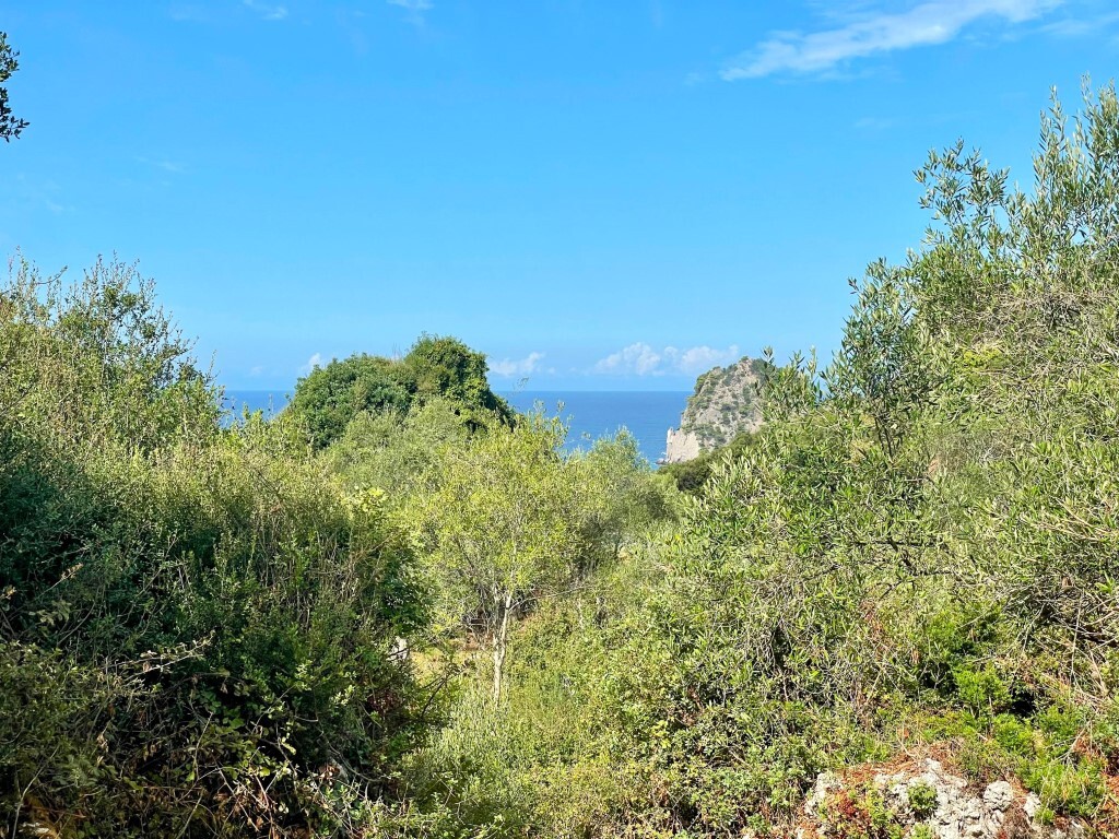 Terreno en Corfú, Grecia, 4 162 m² - imagen 1