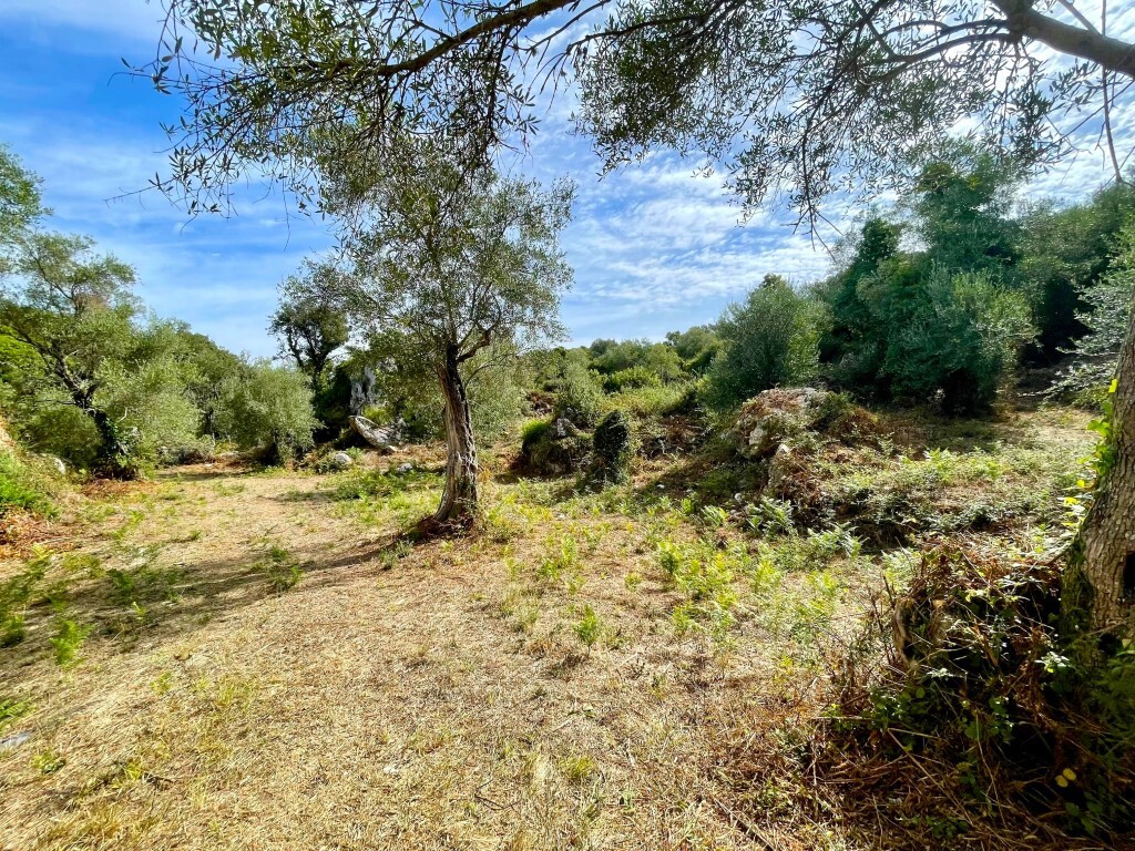 Grundstück in Korfu, Griechenland, 4 162 m² - Foto 2