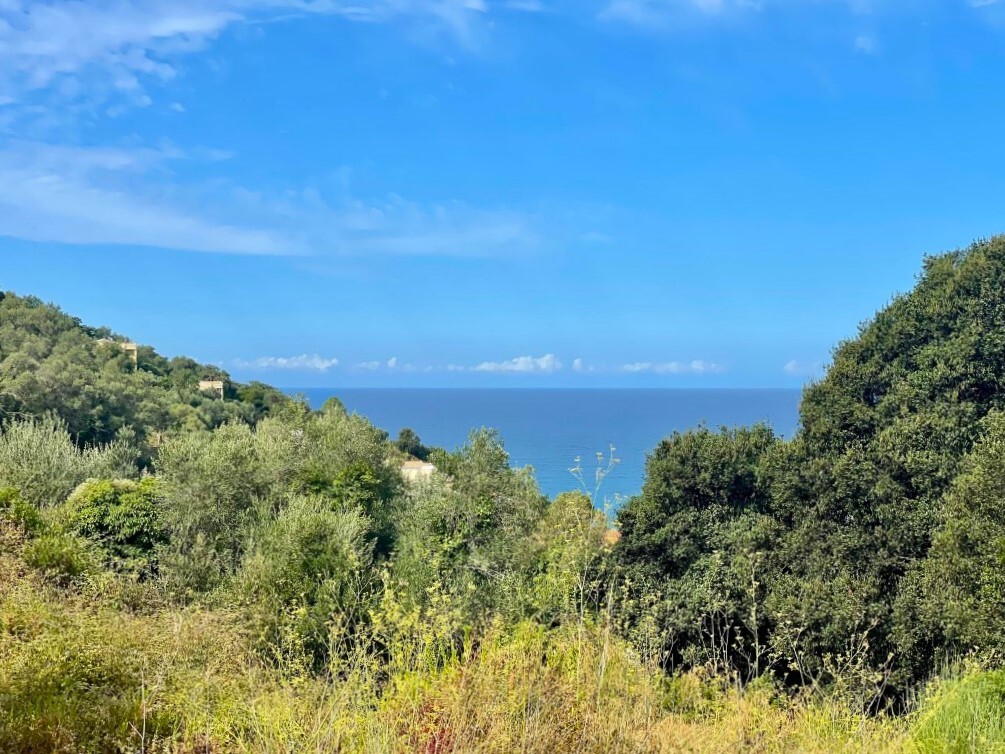 Terreno en Corfú, Grecia, 4 012 m² - imagen 2