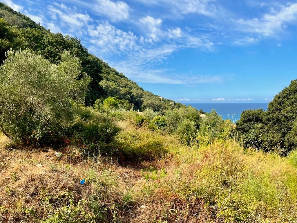 Terreno en Corfú, Grecia, 4 012 m² - imagen 3