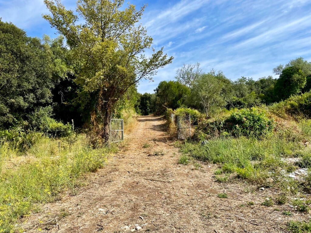 Terreno en Corfú, Grecia, 4 012 m² - imagen 5