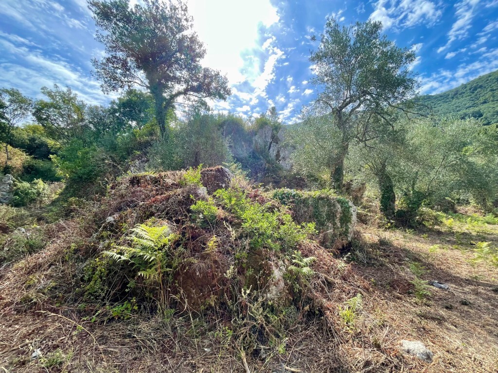 Grundstück in Korfu, Griechenland, 4 162 m² - Foto 6