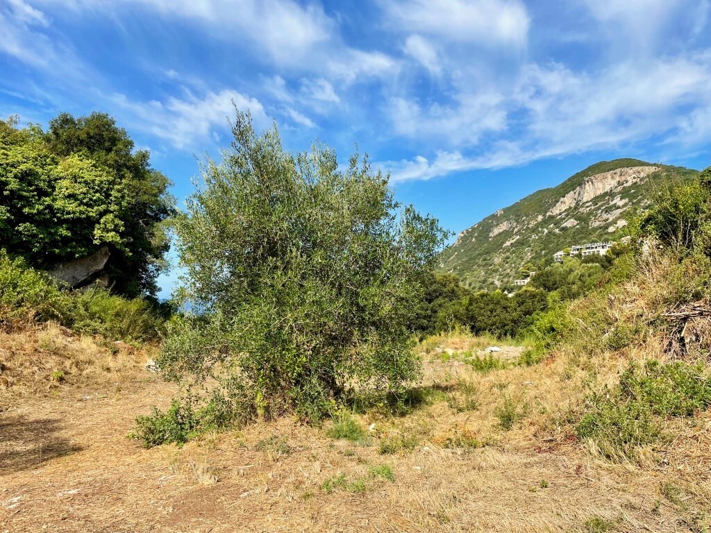 Terreno en Corfú, Grecia, 4 012 m² - imagen 10