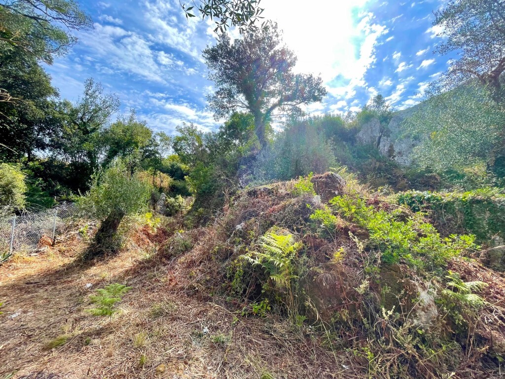 Grundstück in Korfu, Griechenland, 4 162 m² - Foto 11