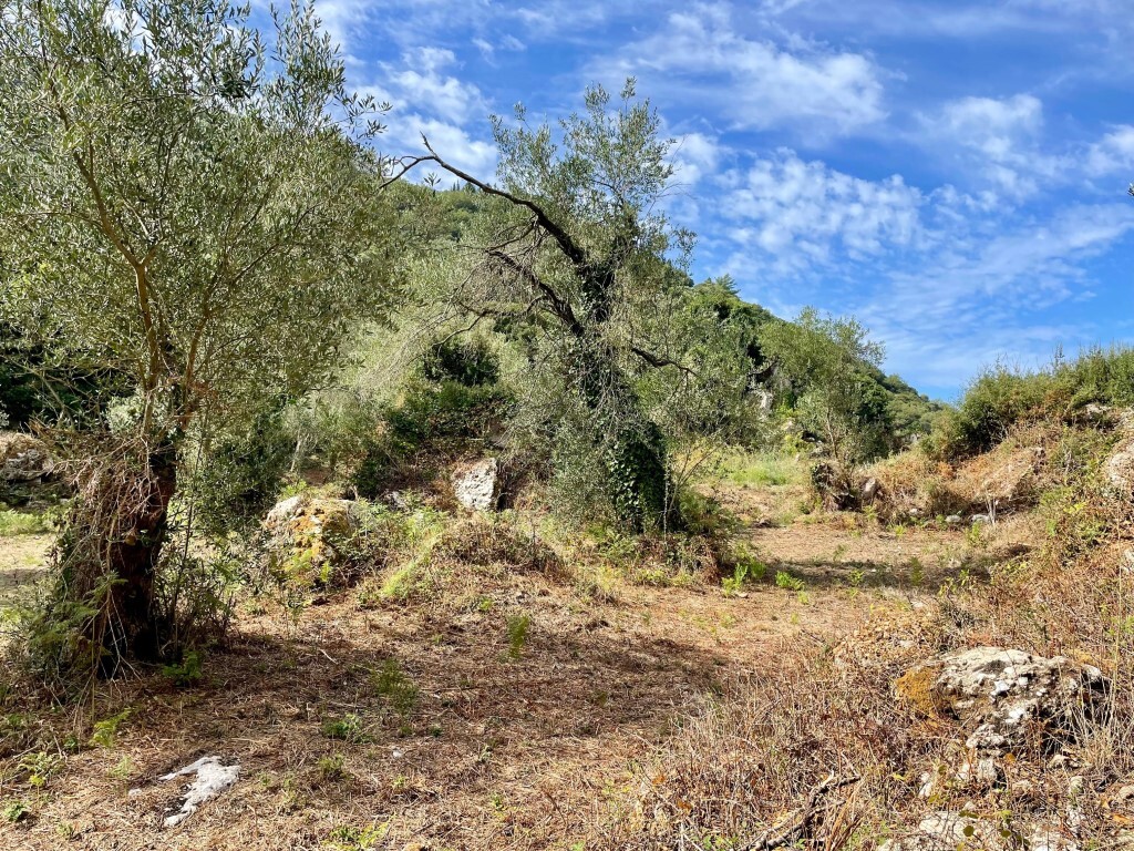 Grundstück in Korfu, Griechenland, 4 162 m² - Foto 12