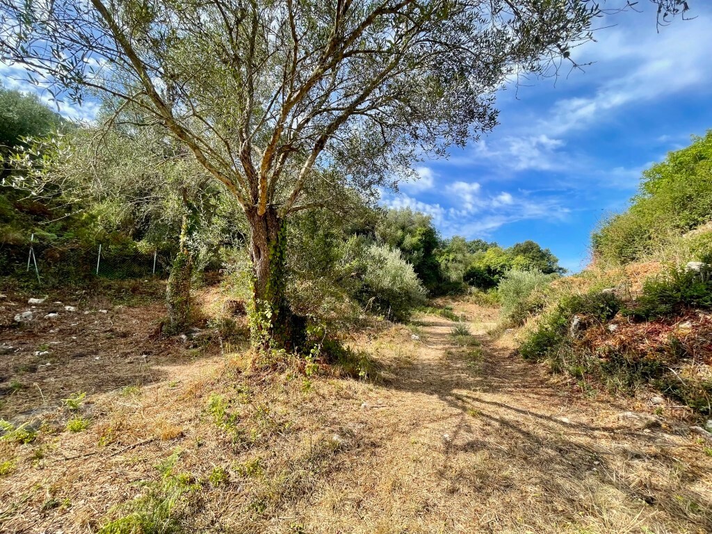 Terreno en Corfú, Grecia, 4 012 m² - imagen 12
