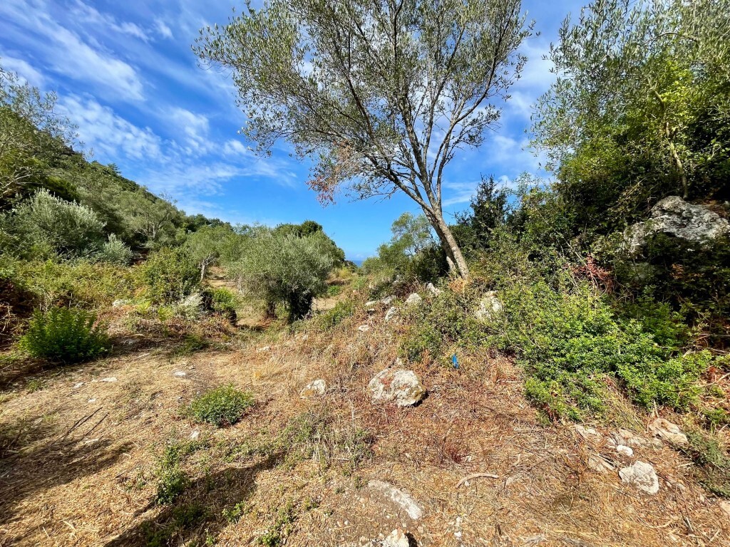 Grundstück in Korfu, Griechenland, 4 162 m² - Foto 14