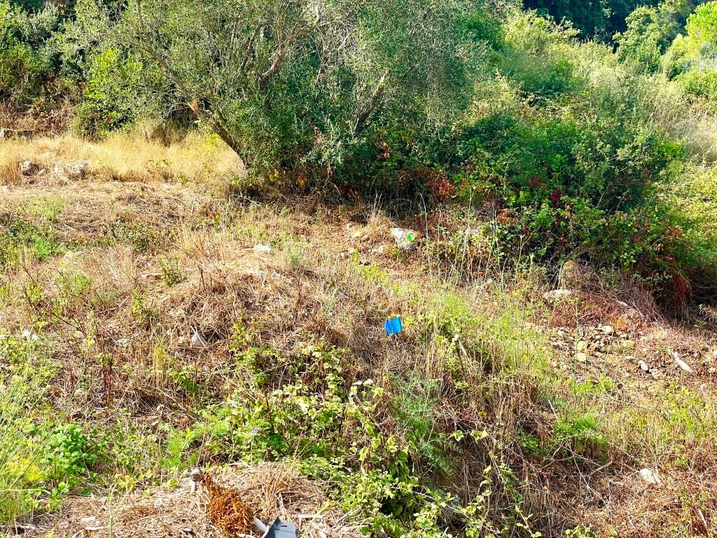 Terreno en Corfú, Grecia, 4 012 m² - imagen 14