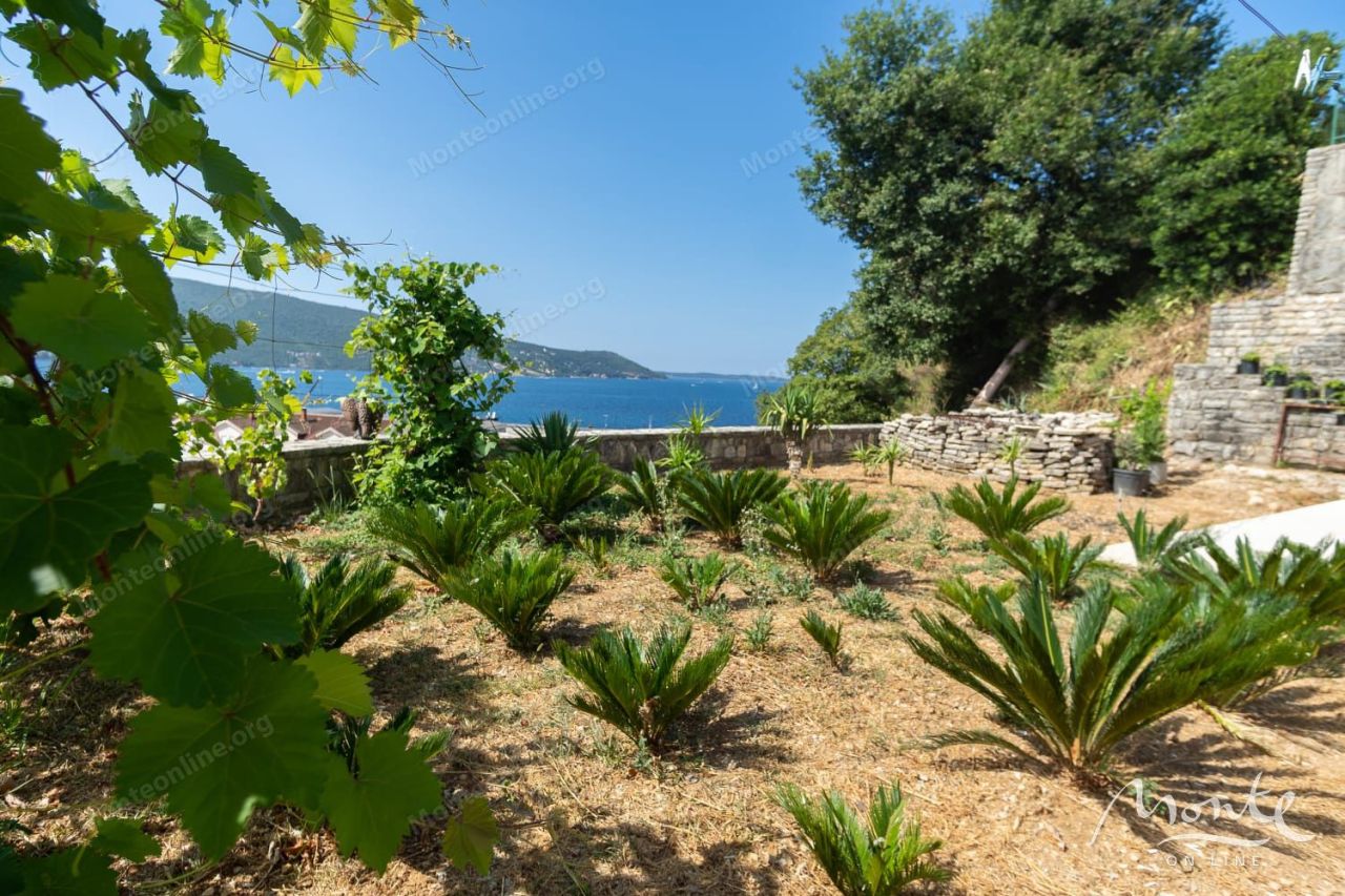 Land in Zelenika, Montenegro, 574 m² - picture 3