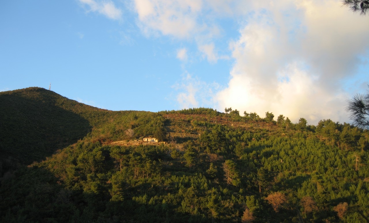 Terrain à Budva, Monténégro, 11 246 m² - image 5