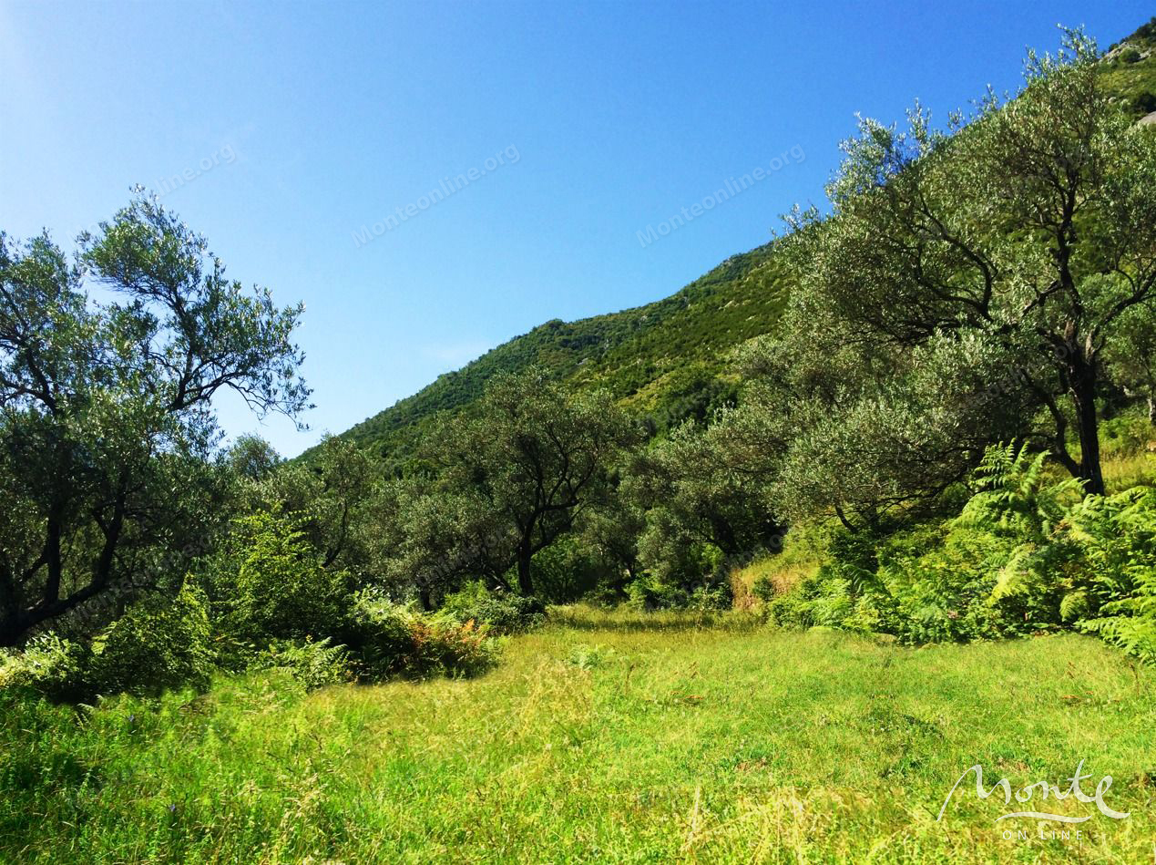 Terreno en Prcanj, Montenegro, 7 500 m² - imagen 7