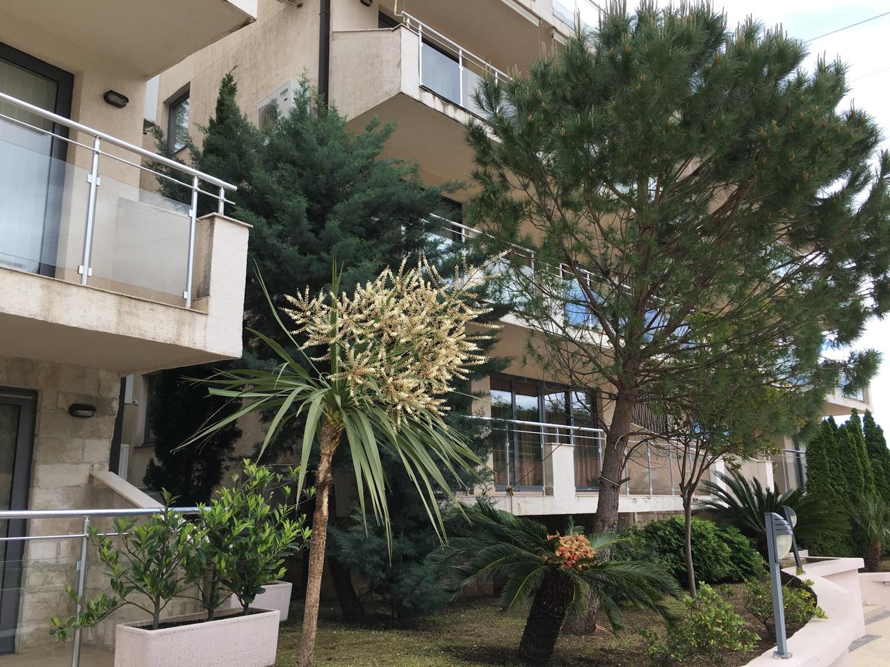 Apartment in Przno, Montenegro, 47 m² - picture 9