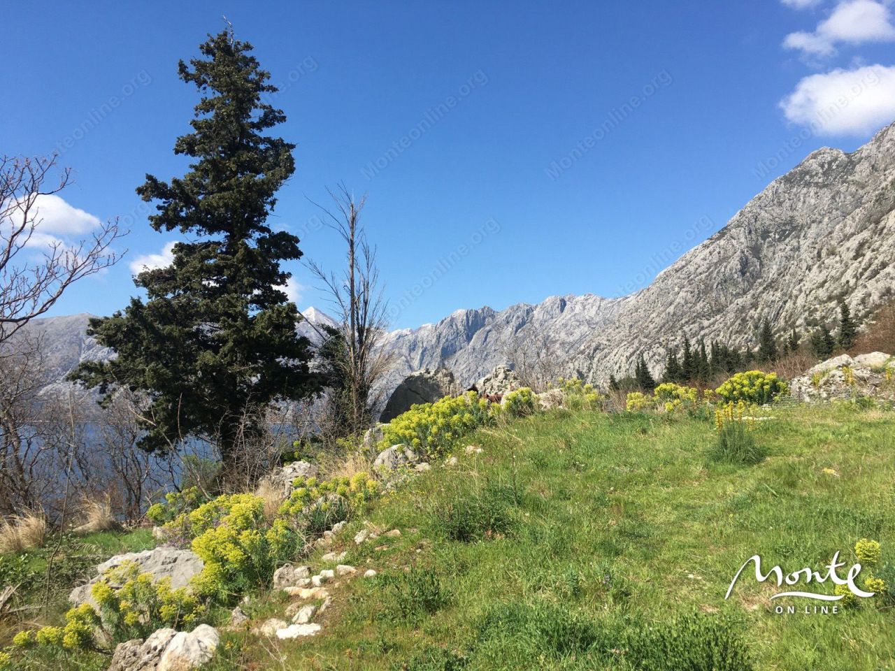 Terreno en Dobrota, Montenegro, 3 060 m² - imagen 9