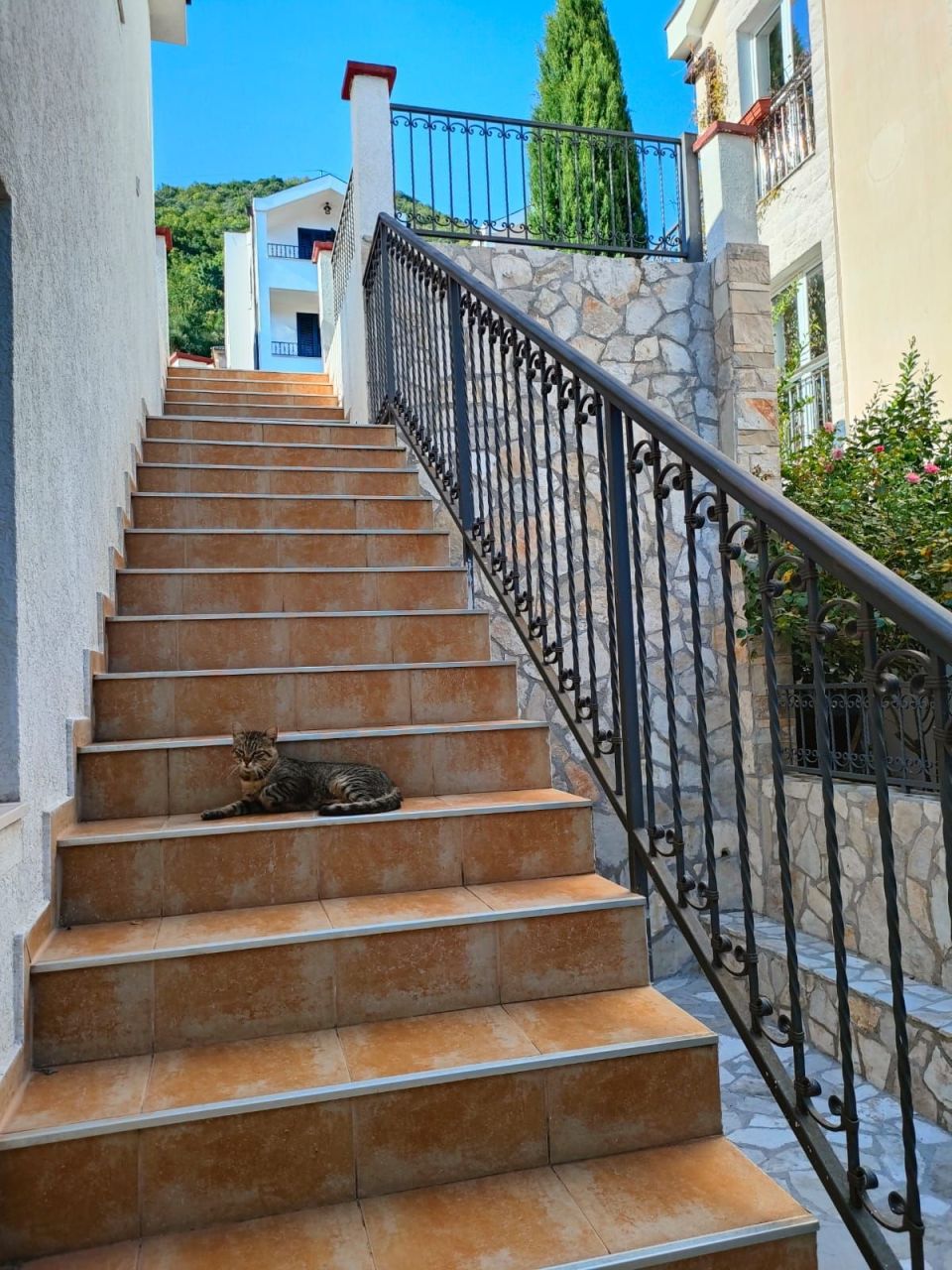 Villa en Bijela, Montenegro, 143 m² - imagen 9