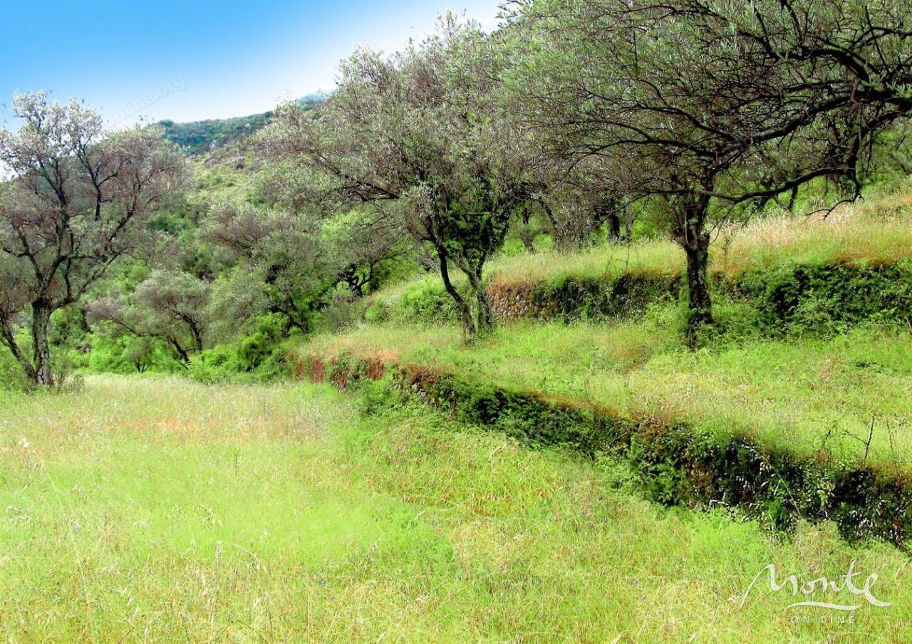 Terreno en Prcanj, Montenegro, 7 500 m² - imagen 11