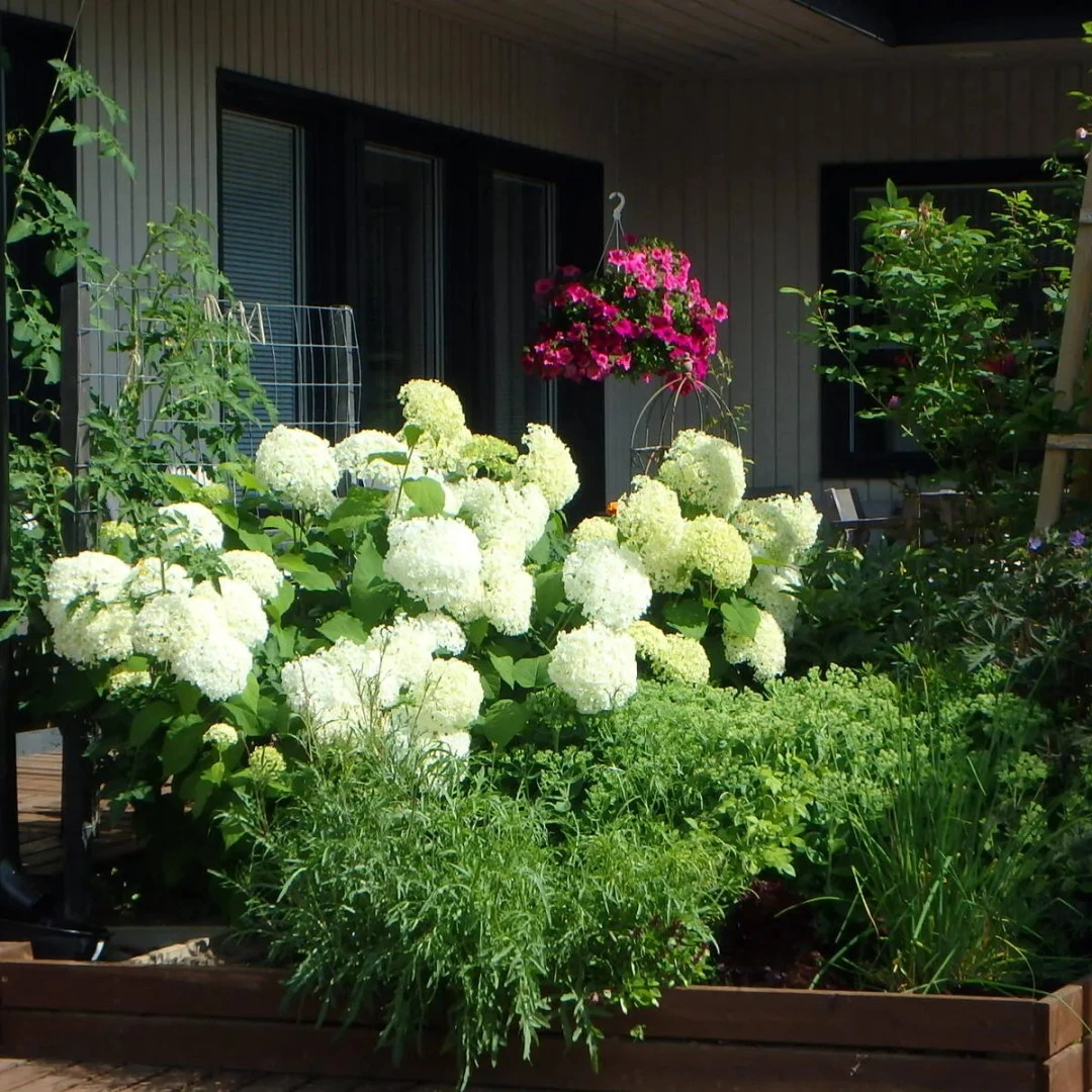 Haus in Kauhava, Finnland, 121 m² - Foto 17