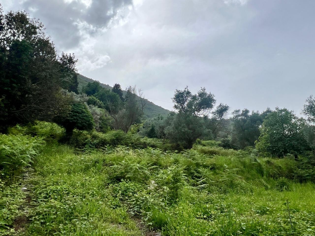 Terreno a Stoliv, Montenegro, 872 m2 - foto 12