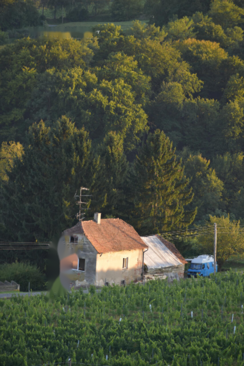 Haus in Ljubljana, Slowenien, 120 m² - Foto 1